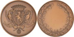 World Coins - France, Medal, Valenciennes a bien mérité de la Patrie, Politics, Society