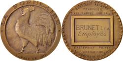 World Coins - France, Medal, French Third Republic, Politics, Society, War, Rivaud,