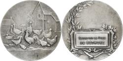World Coins - France, Medal, Basse-cour, ville de Béthune, Silvered bronze, Cariat,