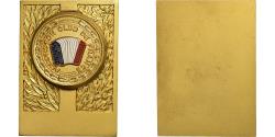 World Coins - France, Medal, Accordéon Club de France, Gilt Bronze,