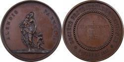 World Coins - France, Medal, Société Protectrice de l'Enfant, 1877, Copper,