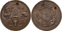 World Coins - France, Medal, Agriculture, Concours général de Nevers, Nièvre, 1899, Bronze