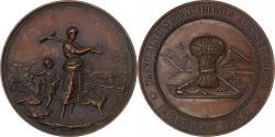 World Coins - Germany, Medal, Landwirthschaftliche Austellung, Bolchen, 1891, Bronze