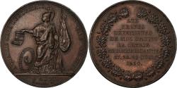 World Coins - France, Medal, Louis Philippe I, Politics, Society, War, 1830, Borrel