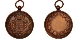 World Coins - France, Medal, Société de tir Sétifien, Sports & leisure, 1873,