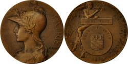 World Coins - France, Medal, Société d'Etudes Sanitaires de l'Aube, 1912, Rivet,