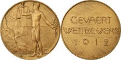 World Coins - Germany, Medal, Gevaert Wettbewerb, Berlin, 1912, C.Stoeving, , Bronze