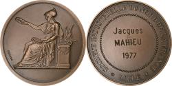 World Coins - France, Medal, Société Industrielle du Nord de la France, Lille, 1977, Bronze