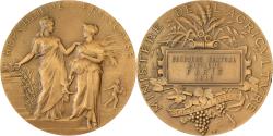 World Coins - France, Medal, Direction des Haras, Concours Central Hippique de Paris, 1912