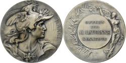 World Coins - France, Medal, Offert par M. Lavoine, Sénateur, Silvered bronze, Bottée