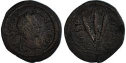 Ancient Coins - Coin, Cappadocia, Severus Alexander, Æ, 223-224, Caesarea, , Bronze