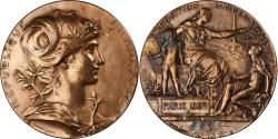 World Coins - France, Medal, Exposition universelle de Paris, 1889, Bronze,