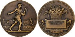 World Coins - France, Medal, Associations Agricoles, République française, Bronze, Lagrange