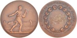 World Coins - France, Medal, Société de Comptabilité de France, Paris, Lagrange,