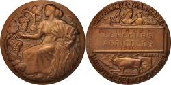World Coins - France, Medal, Concours Agricoles, Business & industry, 1976, Petit,