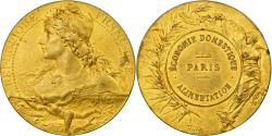 World Coins - France, Medal, Economie Domestique, Alimentation, Paris, Bottée,