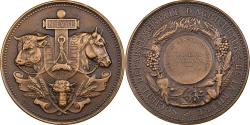 World Coins - France, Medal, Agriculture, Concours général de Nevers, Nièvre, n.d., Bronze
