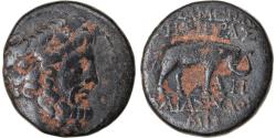Ancient Coins - Coin, Seleucis and Pieria, Pseudo-autonomous issue, Bronze Æ, 58-57 BC
