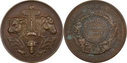 World Coins - France, Medal, Agriculture, Concours général de Nevers, Nièvre, 1898, Bronze