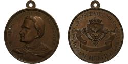 World Coins - Argentina, Medal, Colegio Lacordaire Buenos Aires, Bronze,