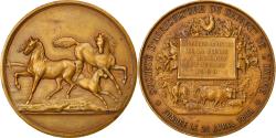 World Coins - France, Medal, Agriculture, Concours de la Brenne, Rosnay, 1909, Blondelet