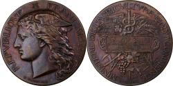 World Coins - France, Medal, Concours Général de Produits Agricoles, Paris, 1881, Bronze