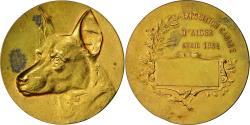 World Coins - Algeria, Medal, Exposition Canine d'Alger, 1934, , Gilt Bronze