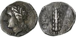Ancient Coins - Lucania, Nomos, ca. 330-290 BC, Metapontum, Silver, , HGC:1-1063