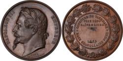 World Coins - France, Medal, Napoléon III, Concours de Taureaux, Saône et Loire, 1862