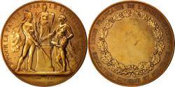 World Coins - France, Medal, Ligue Française de L'Enseignement, Politics, Society, War, 1881