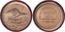 World Coins - France, Medal, Aviation, Hydravion et Icare, Bronze, Montagny,