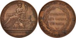 World Coins - France, Medal, Compagnie des canaux de Paris, Louis XVIII, Politics, Society