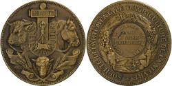 World Coins - France, Medal, Agriculture, Concours général de Nevers, Nièvre, n.d., Bronze