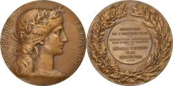 World Coins - France, Medal, Agriculture and Horticulture, Agriculture, Direction des Eaux et