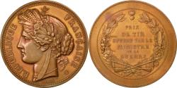 World Coins - France, Medal, French Third Republic, Sports & leisure, Oudiné,
