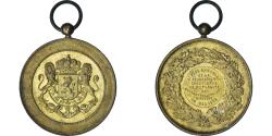 World Coins - Belgium, Medal, Fédération Chrétienne du Brabant Wallon Nivelles 1896