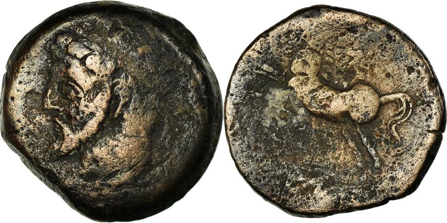 Micipsa Coin Coin, Numidia (Kingdom of), Massinissa or Micipsa, Bronze Æ, , Bronze
