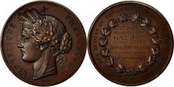 World Coins - France, Medal, Caisse des Ecoles du XIIème Arrondissement, 1875, Oudiné