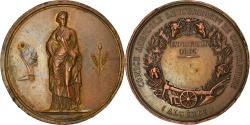 World Coins - Algeria, Medal, Comice Agricole de l'Arrondissement de Constantine, 1866