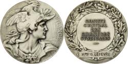 World Coins - France, Medal, Comité Centrale des Chambres Syndicales, Bottée,
