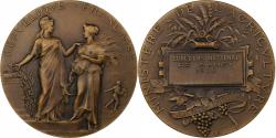 World Coins - France, Medal, Concours National de Nancy, 1904, Bronze, Dubois.A,