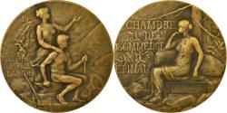 World Coins - France, Medal, Chambre de Commerce d'Epinal, Michaux, , Bronze
