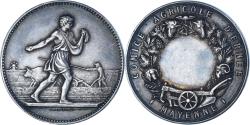 World Coins - France, Medal, Comice Agricole d'Ernée, Mayenne, Agriculture, Lagrange