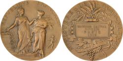 World Coins - France, Medal, Concours Central Hippique de Paris, 1912, Bronze, Alphée Dubois