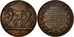 World Coins - France, Medal, Les Exploits de l'Armée Française, 1819, Droz,