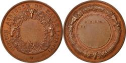 World Coins - France, Medal, French Third Republic, Business & industry, , Bronze