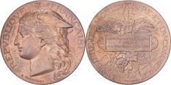 World Coins - France, Medal, Concours Régional Hippique de La Roche-sur-Yon, 1881, Bronze