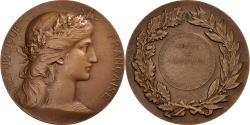 World Coins - France, Medal, Direction des Eaux et Forêts, Pisciculture, Bronze, Dubois.H