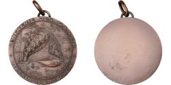 World Coins - France, Medal, Confrérie des G.A.N.E.A, Bassin d'Arcachon, 1977, Bronze