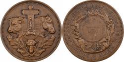 World Coins - France, Medal, Agriculture, Concours général de Nevers, Nièvre, 1903, Bronze